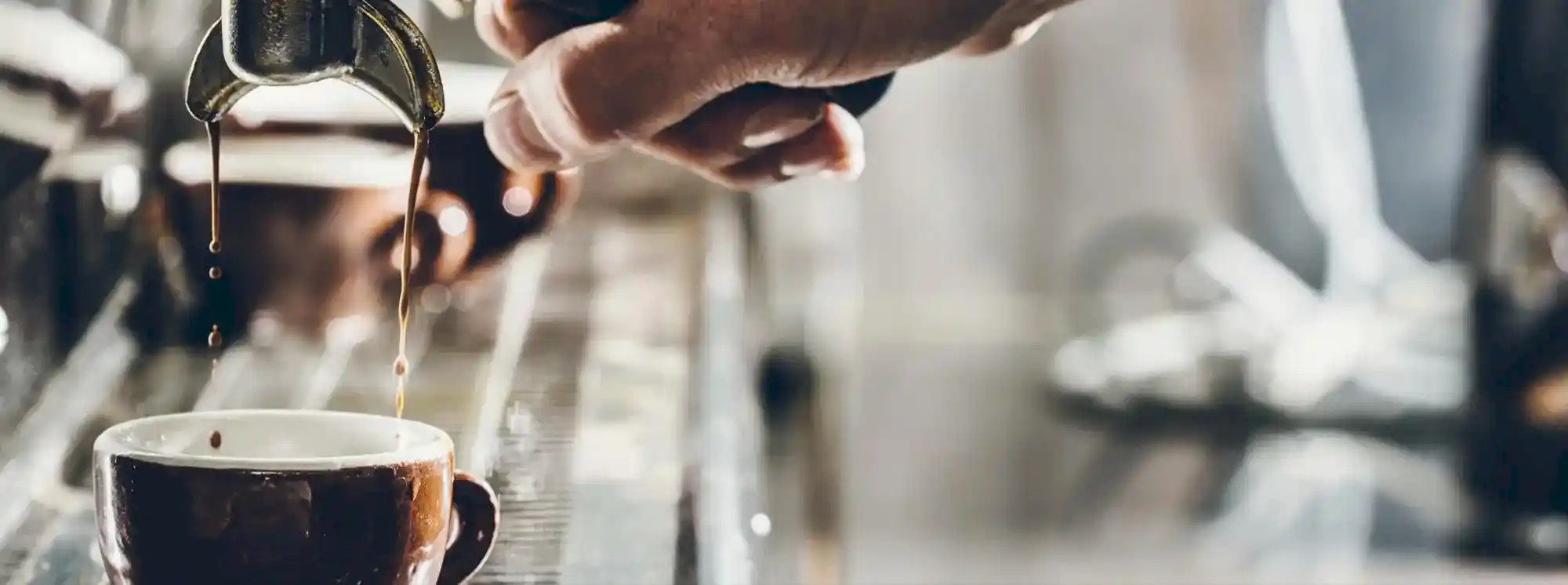 Barista Eğitimleri Barista Eğitimleri